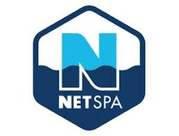LOGO NETSPA